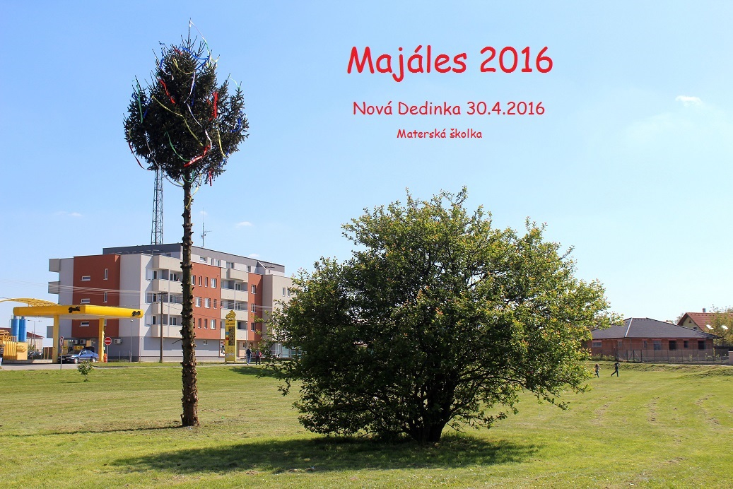 Fotogaléria Stavanie mája 2016 (13) Stavanie mája 2016